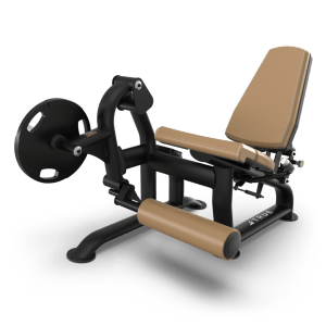 TRUE Fitness PLS-1200 Leg Extension