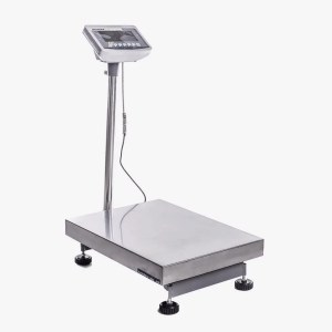 Digital Scale