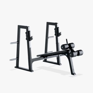 Olympic Decline Bench