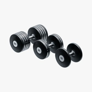 Plate Dumbbell Set