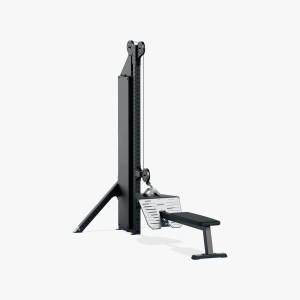 Low Row, Free Standing