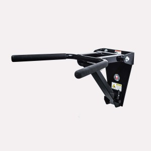 Rogers Wall Mounted Dip Station (2.5″ Grip)