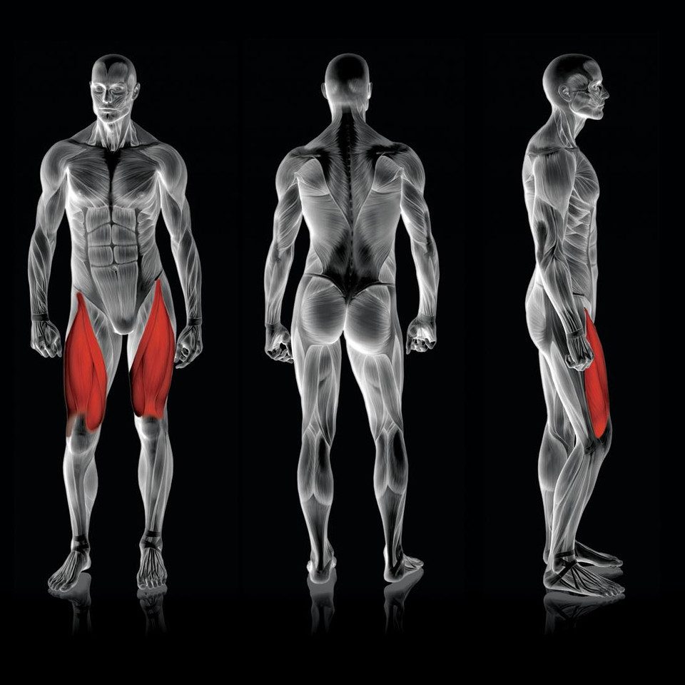 Rogers Leg Extension - Image 2