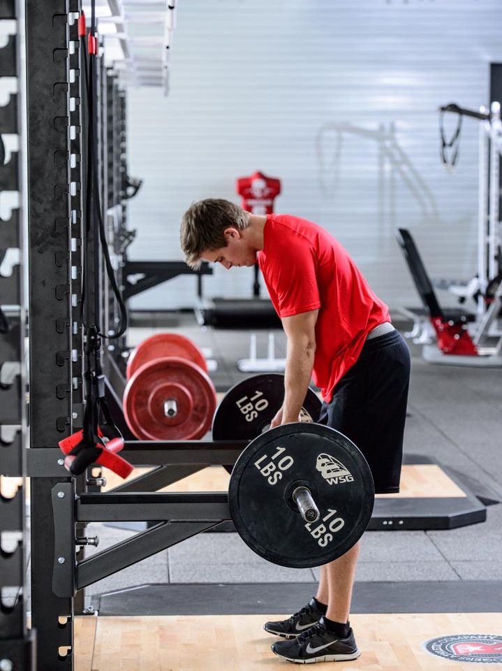 Rogers Safety Bars (External) - Image 2