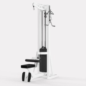 Rogers Power Stack Lat-Row (Freestanding)