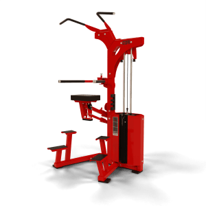 Pro Select Chin Dip Assist