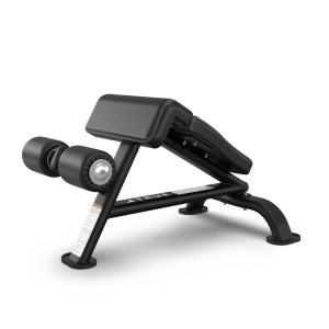 TRUE Fitness SF-1010 Ab Bench