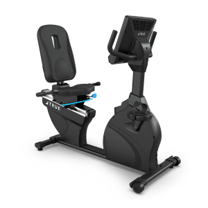 TRUE  Fitness Apex Recumbent Bike