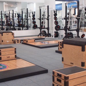 Adjustable Wood Plyo Boxes
