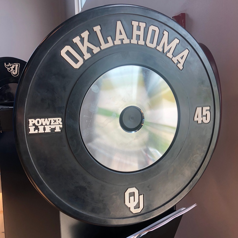 UESAKA Platinum Bumper Plates - Image 3