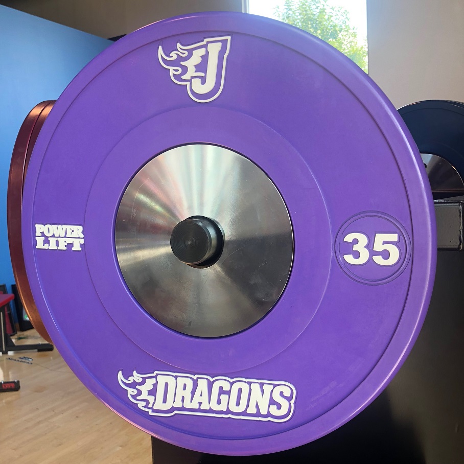 UESAKA Platinum Bumper Plates - Image 5