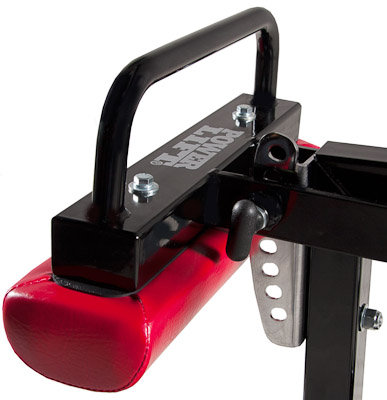 Seated Calf - Image 2