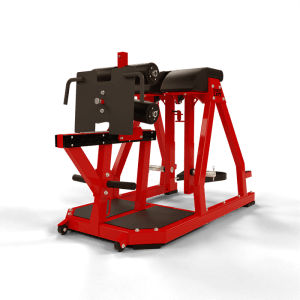 Posterior Chain Developer XL