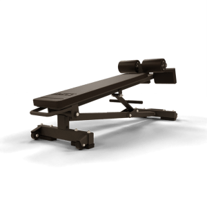 Decline Dumbbell Bench